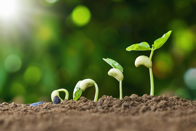 The Compound Effect: Why Little by Little Builds Real Wealth